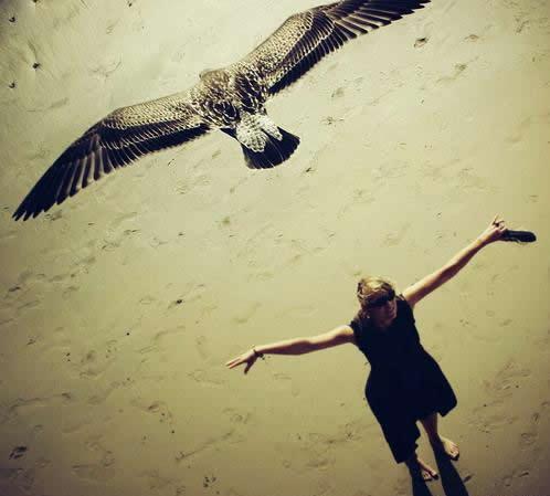 ͼ˵ <wbr> <wbr> <wbr> <wbr>йʫʫ